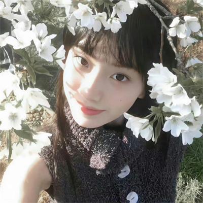 狗与剪刀的正确用法